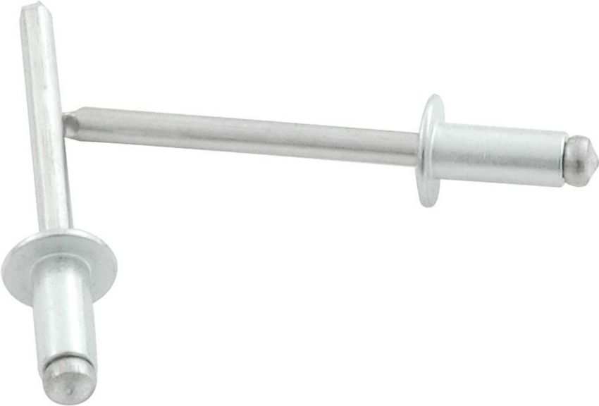 ALLSTAR PERFORMANCE ALL18107 Sm Hd Rivet Silver 250pk