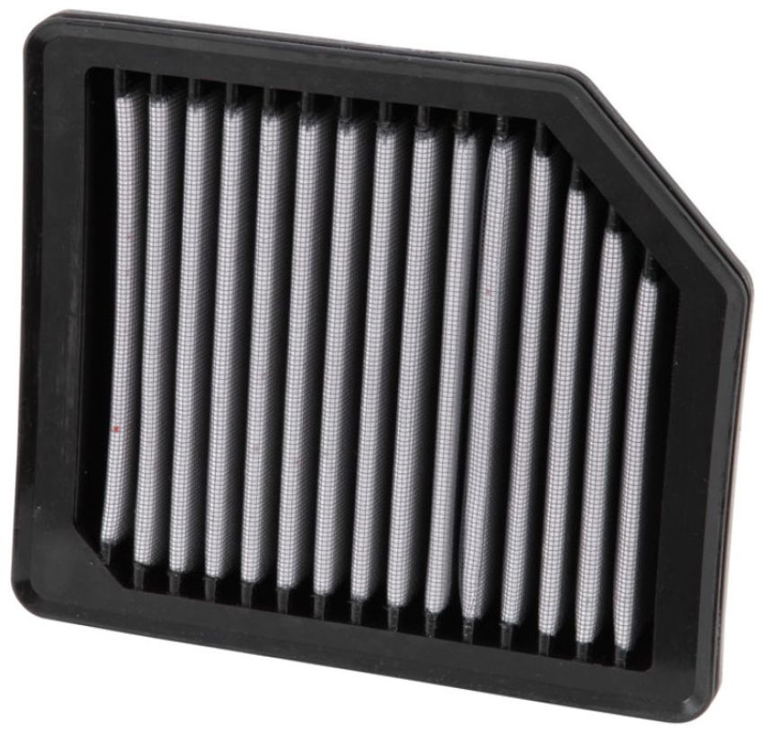 AEM 28-20342 DryFlow Air Filter