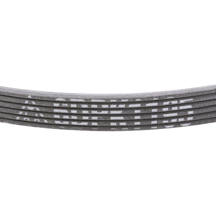 MITSUBOSHI 6DPK1195 V-RIBBED BELT