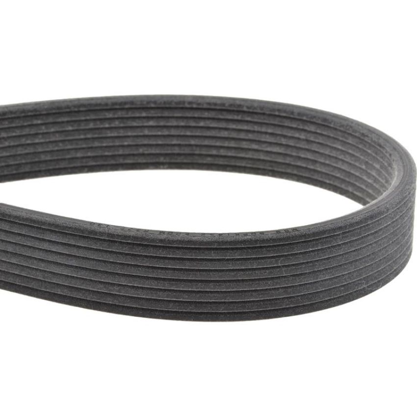 MITSUBOSHI 8DPK1442 V-RIBBED BELT