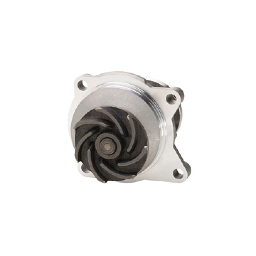 Dayco DP966 Water Pump