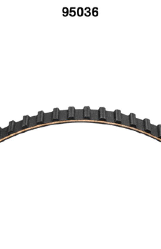 Dayco 95036 Timing Belt