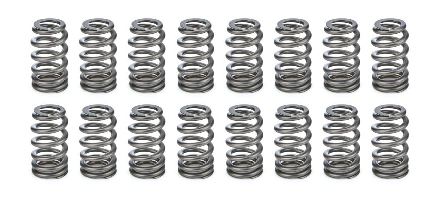 PAC RACING SPRINGS PACPAC-1255X-16 1.445 Valve Springs - Ovate Beehive (16)