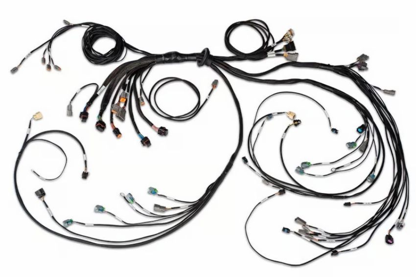 Haltech HT-186205 NEXUS R5 DBW Terminated Harness - DBW Ready/Injector Connector EV6