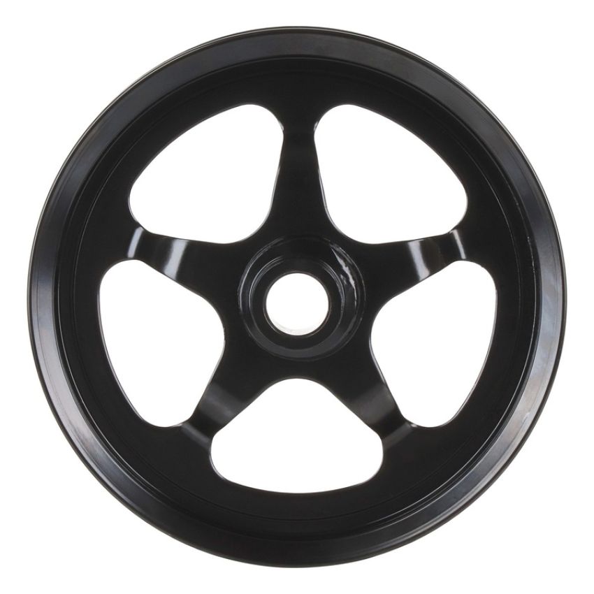 CARDONE New 3P-25160 New Power Steering Pump Pulley