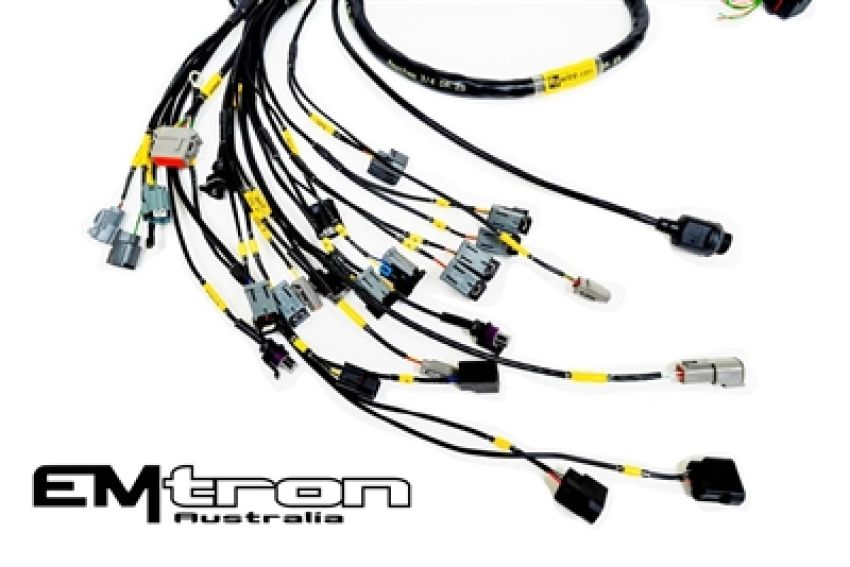 Rywire RY-K2-EMTRON-NA K-Series Naturally Aspirated w/Emtron KV8 ECU Engine Harness (w/4 Inj / No EMAP/Boost)