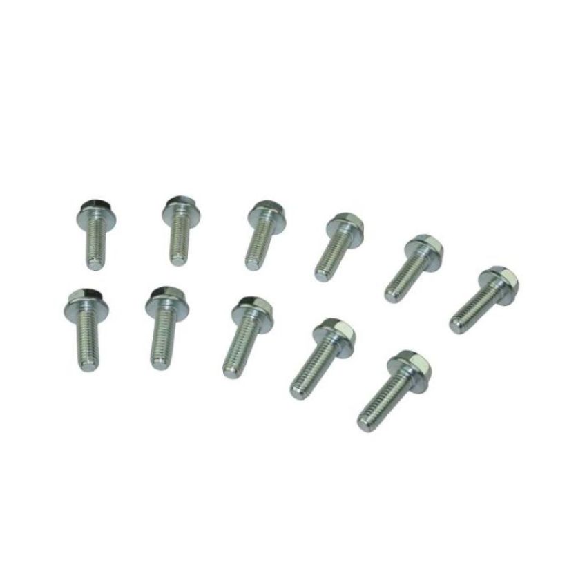 MOROSO MOR38307 Bolt Kit GM LS/LSX Lifter Valley Plate