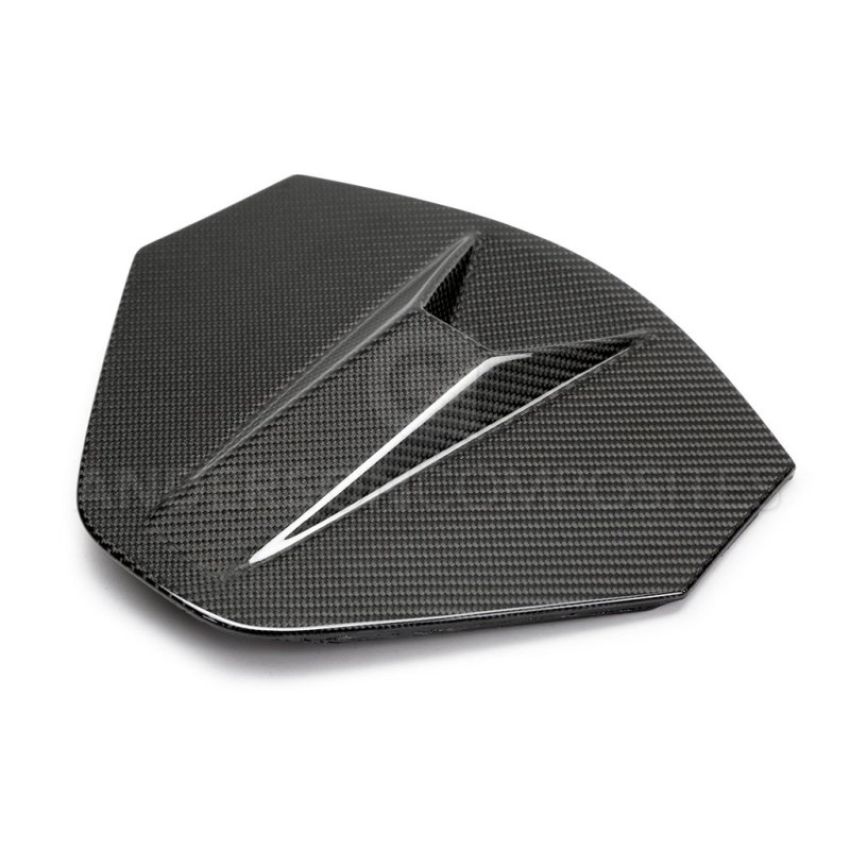 Anderson Composites AC-DA20CHC8-C decklid housing panel
