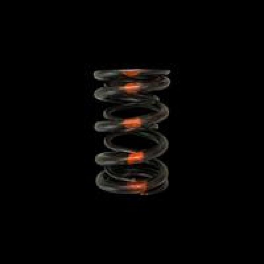 Brian Crower BC1020-1 Honda/Acura B18A/B18B/B20B - Single Valve Spring