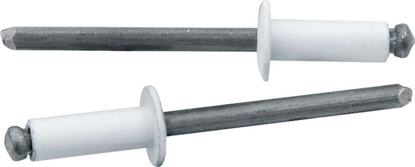 ALLSTAR PERFORMANCE ALL18114 Sm Hd Rivet White 250pk