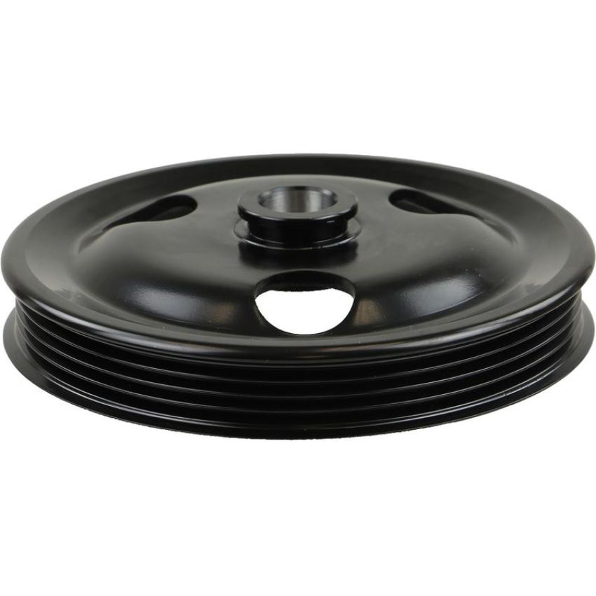 ATLANTIC AUTO ENTPRS PU100-309 AAE New Power Steering Pulley - Metal