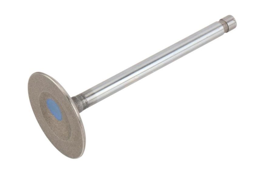 ACDelco Valves 10241743