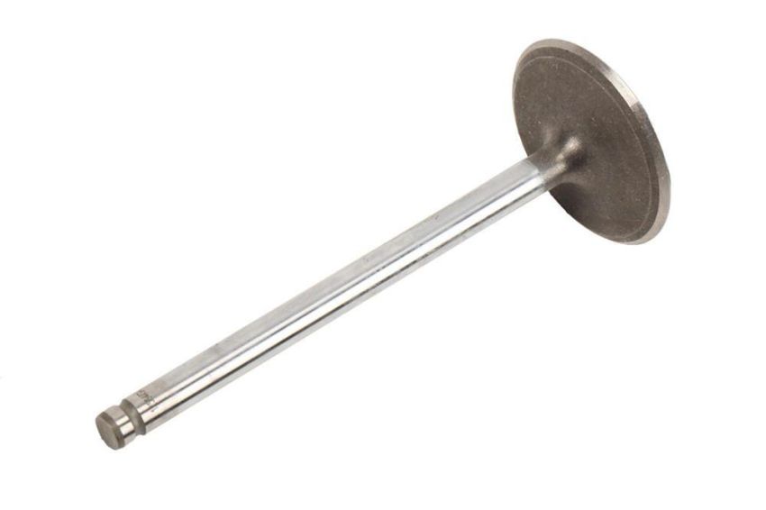 ACDelco Valves 12564494