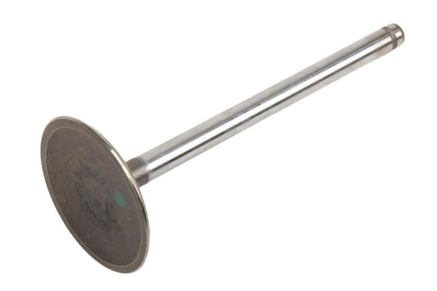 ACDelco Valves 12564494