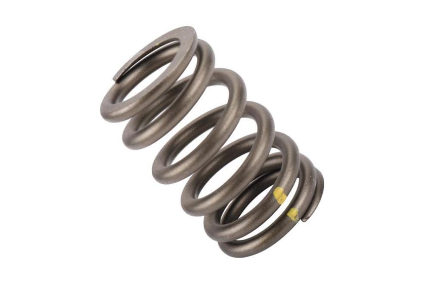 ACDelco Valve Springs 12565763