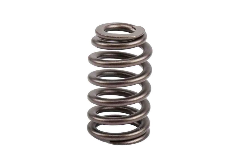 ACDelco Valve Springs 12592506