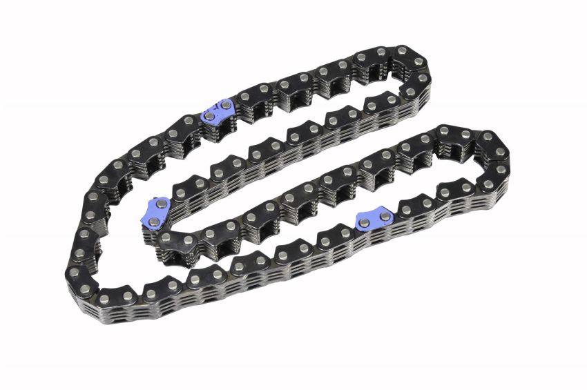 ACDelco Timing Chains 12597307