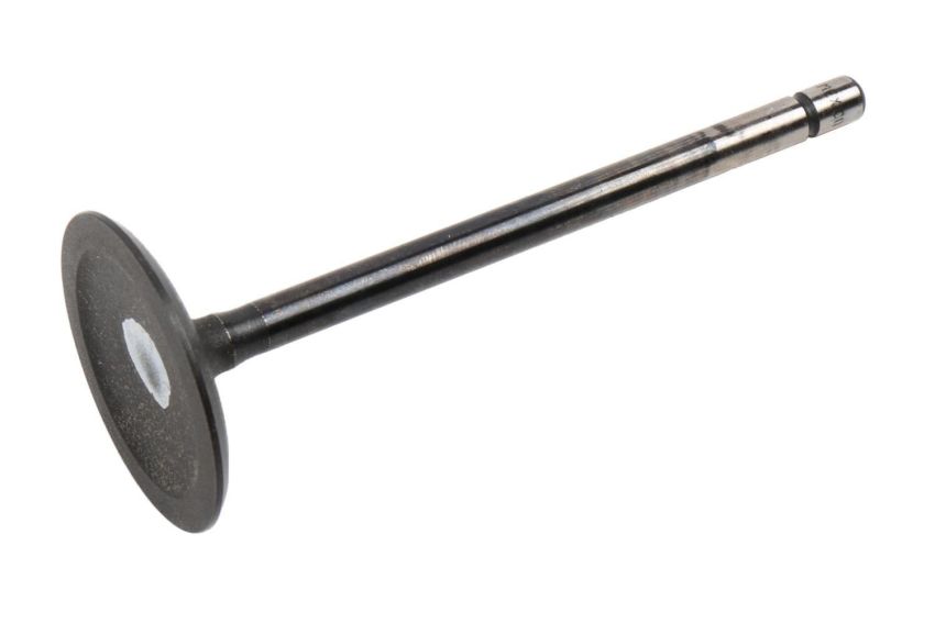 ACDelco GM Genuine Parts Engine Valves 12610931