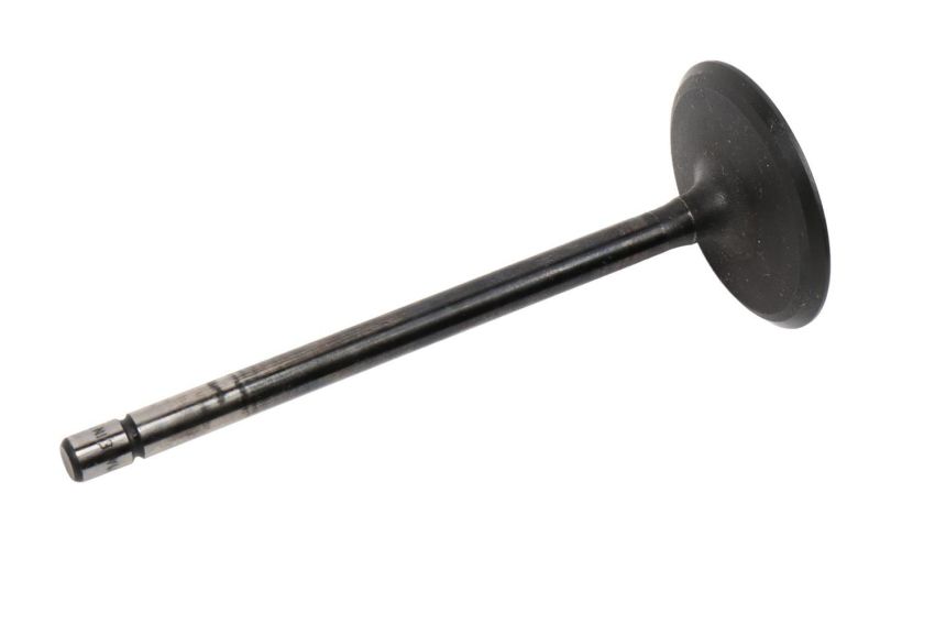 ACDelco GM Genuine Parts Engine Valves 12610931
