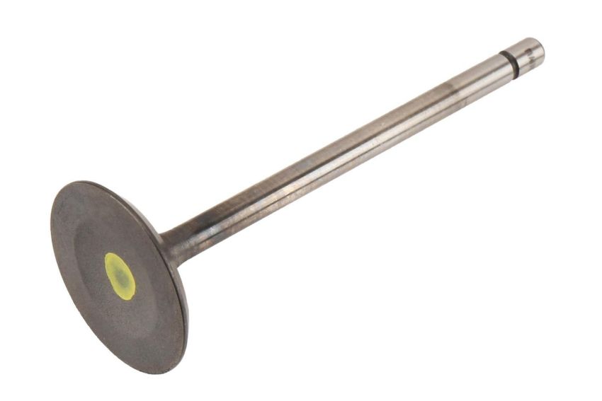 ACDelco GM Genuine Parts Engine Valves 12620501