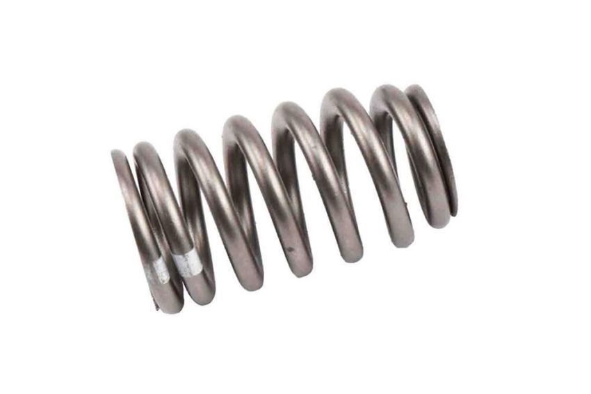 ACDelco Valve Springs 12621428