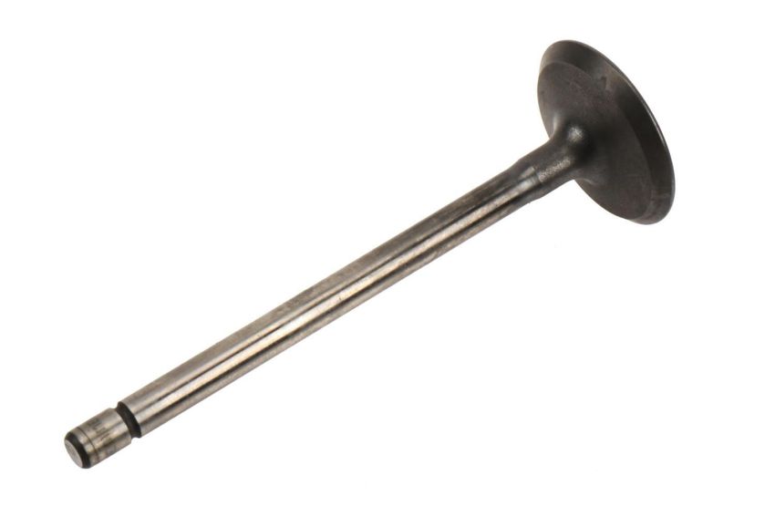 ACDelco GM Genuine Parts Engine Valves 12621548
