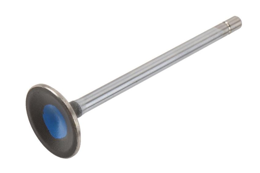 ACDelco Valves 12627156