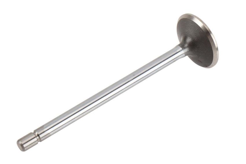 ACDelco Valves 12627156
