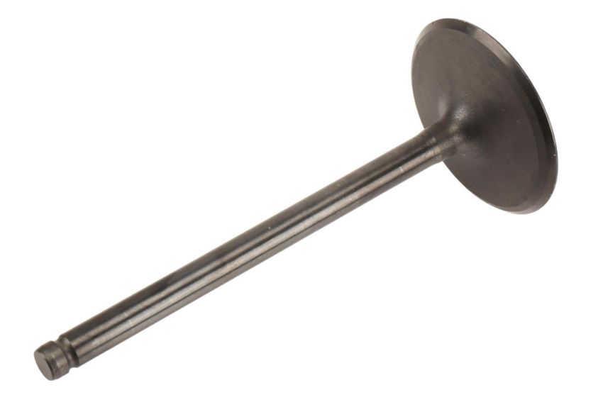 ACDelco GM Genuine Parts Engine Valves 12627971