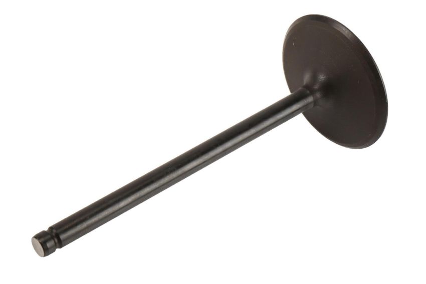 ACDelco GM Genuine Parts Engine Valves 12629513