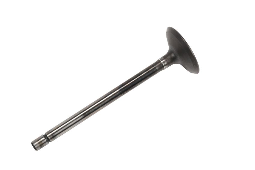 ACDelco GM Genuine Parts Engine Valves 12631974