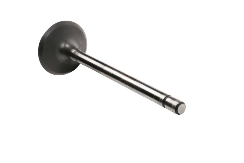 ACDelco GM Genuine Parts Engine Valves 12631974