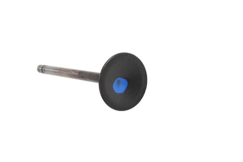 ACDelco GM Genuine Parts Engine Valves 12631974