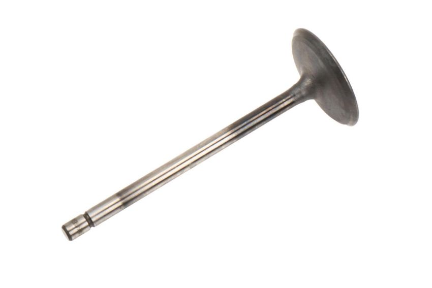 ACDelco GM Genuine Parts Engine Valves 12631975