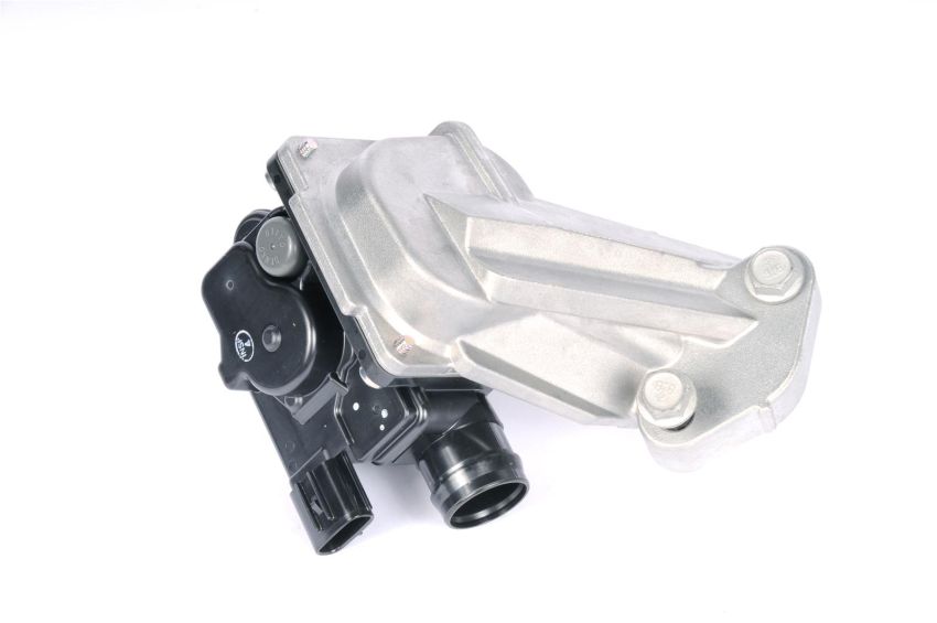 ACDelco - AIR Check Valves for 2013 LACROSSE - 12633750