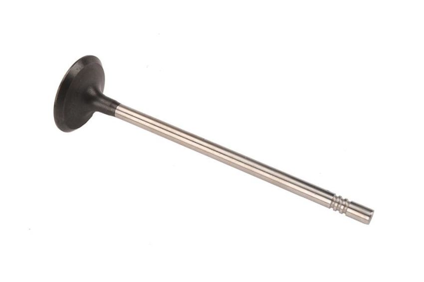 ACDelco GM Genuine Parts Engine Valves 12636317