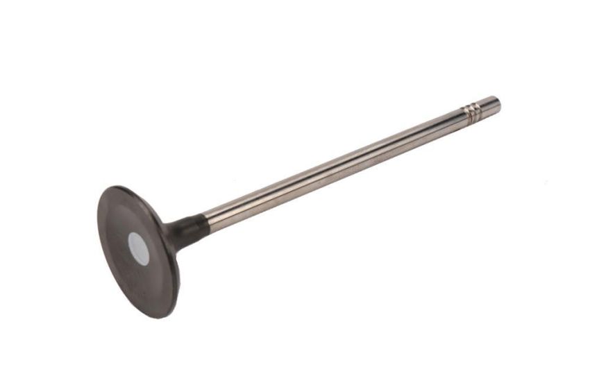 ACDelco GM Genuine Parts Engine Valves 12636317