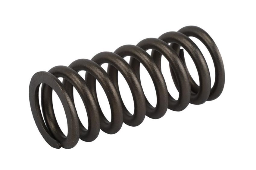 ACDelco Valve Springs 12636319
