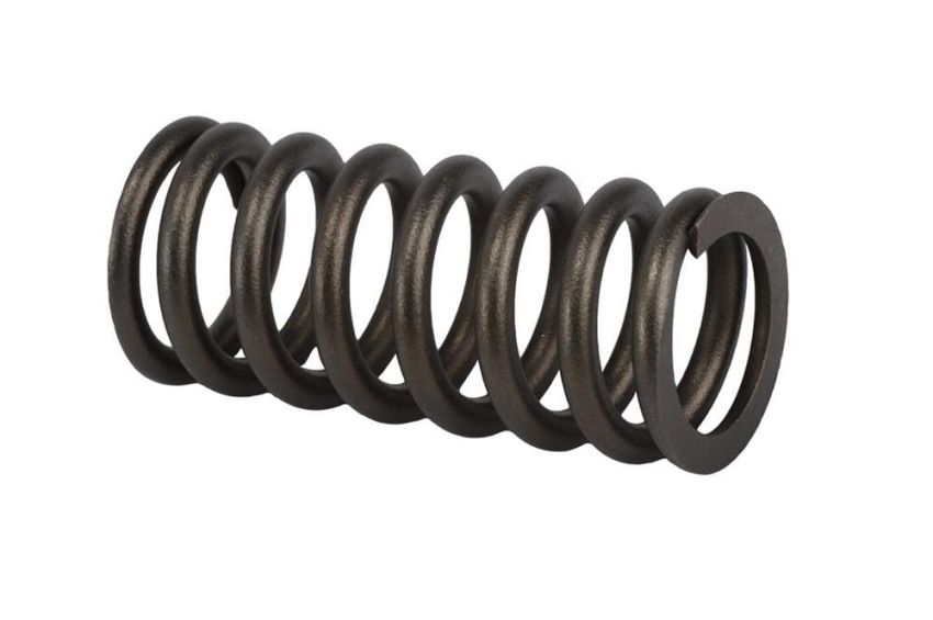 ACDelco Valve Springs 12636319