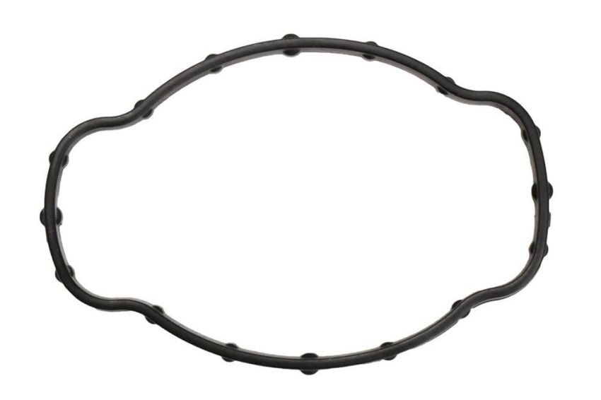 ACDelco Water Neck Gaskets and O-Rings 12647181
