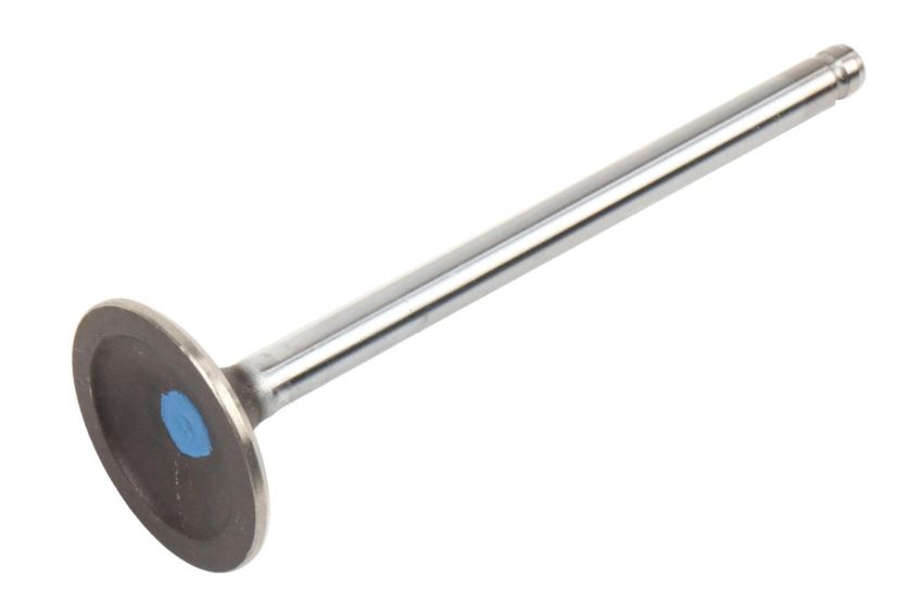 ACDelco GM Genuine Parts Engine Valves 12678746