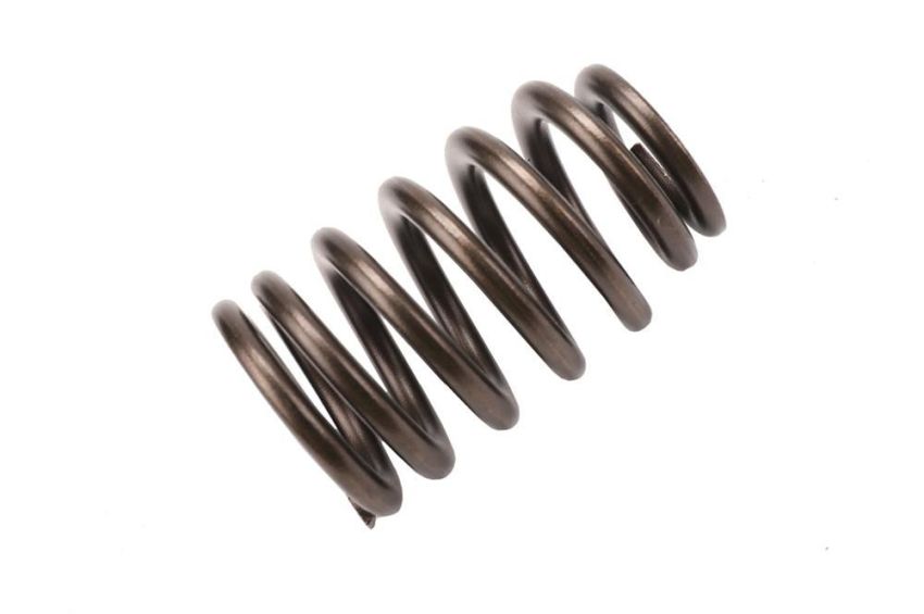 ACDelco Valve Springs 12686721