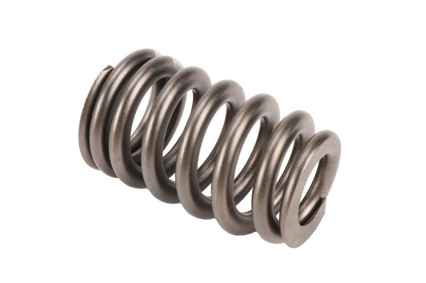 ACDelco Valve Springs 12713265