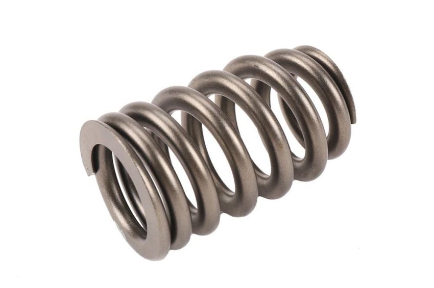 ACDelco Valve Springs 12713265