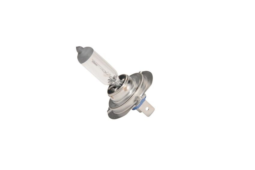 ACDelco Light Bulbs 13586976