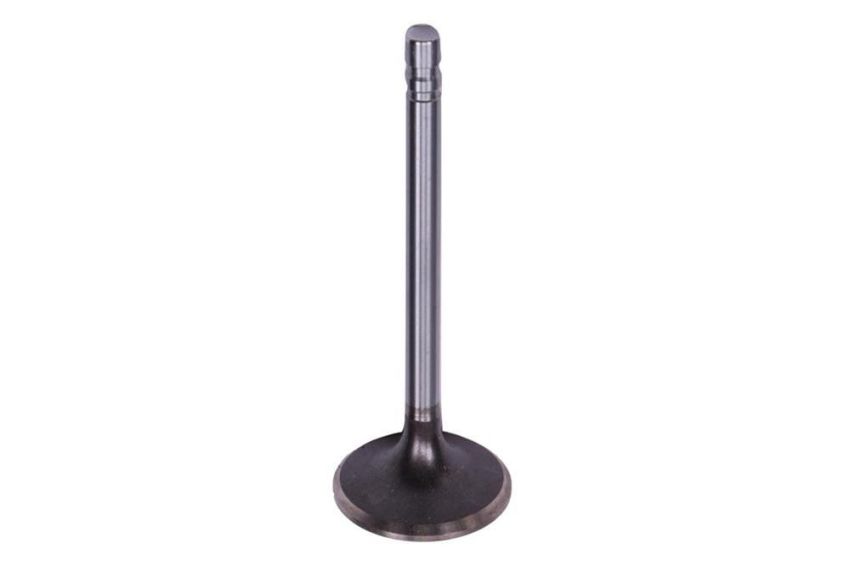ACDelco Valves 14033927