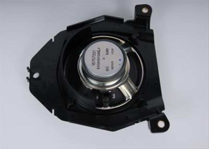 ACDelco Radio Speakers 15757321