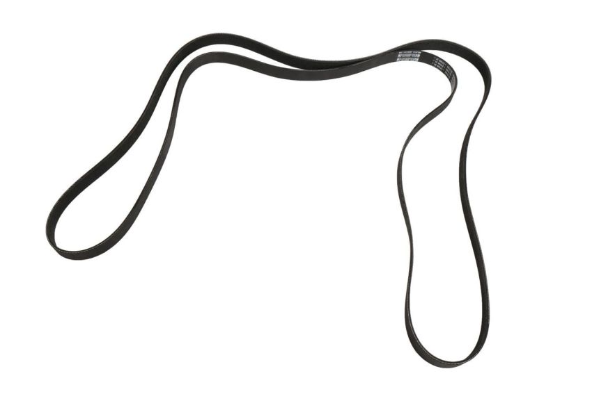 ACDelco Accessory Belts 15768485