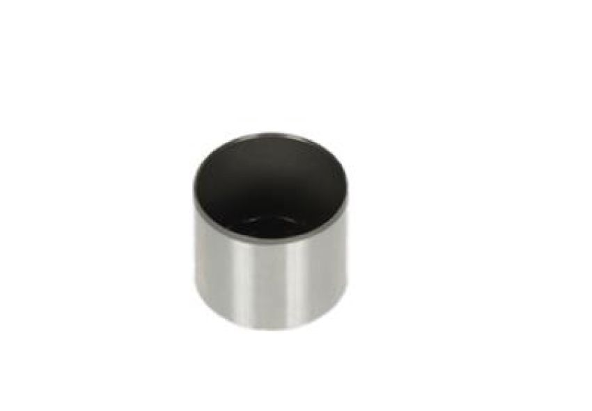 ACDelco Lifters 19205493