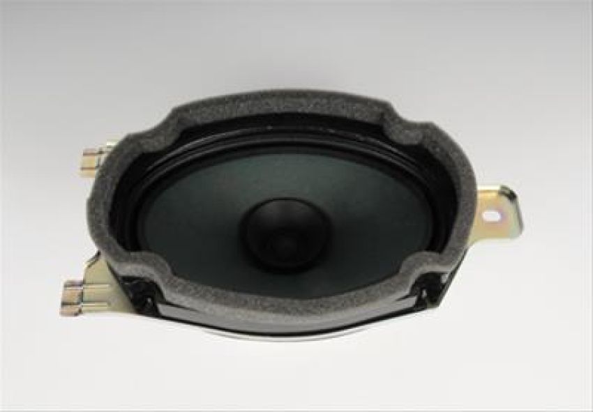 ACDelco Radio Speakers 20939209